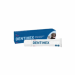 DENTIHEX/דנטיהקס 20 ג'