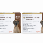 زوج Simparica 120 ملغ للكلاب بوزن 40–60 كغ (الصلاحية 12/2026)