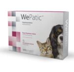 WE patic (כלבים קטנים וחתולים)