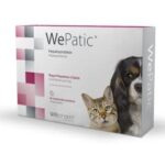WE patic (כלבים קטנים וחתולים)